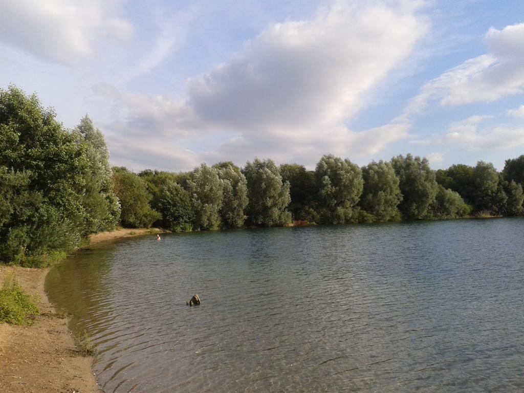 B&B Am See Koeln - Privatzimmer Phòng bức ảnh